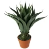 Arrangements & Greenery-Kirkland's Home Agave Succulent Plant In Terracotta Planter Green/Orange
