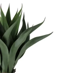 Arrangements & Greenery-Kirkland's Home Agave Succulent Plant In Terracotta Planter Green/Orange
