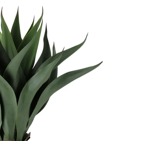 Arrangements & Greenery-Kirkland's Home Agave Succulent Plant In Terracotta Planter Green/Orange