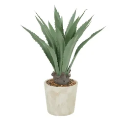 Arrangements & Greenery-Kirkland's Home Aloe Barbadensis In Pebble Planter Green/White