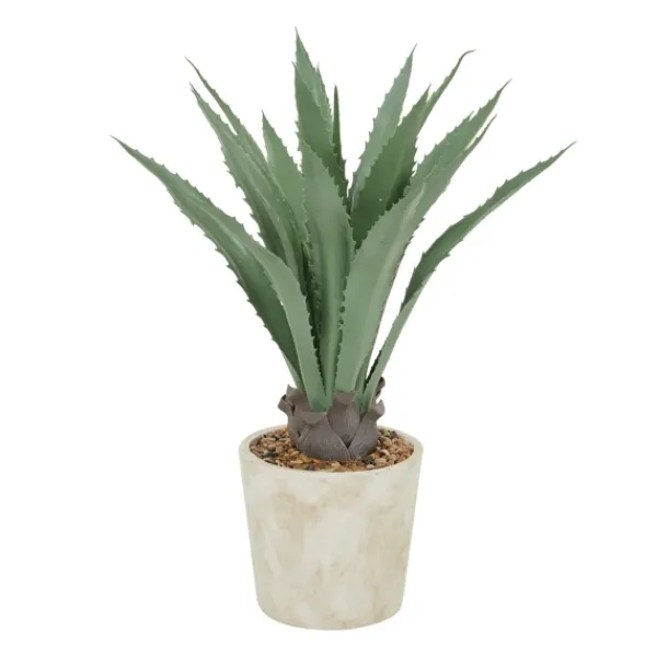 Arrangements & Greenery-Kirkland's Home Aloe Barbadensis In Pebble Planter Green/White