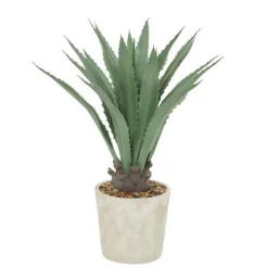 Arrangements & Greenery-Kirkland's Home Aloe Barbadensis In Pebble Planter Green/White