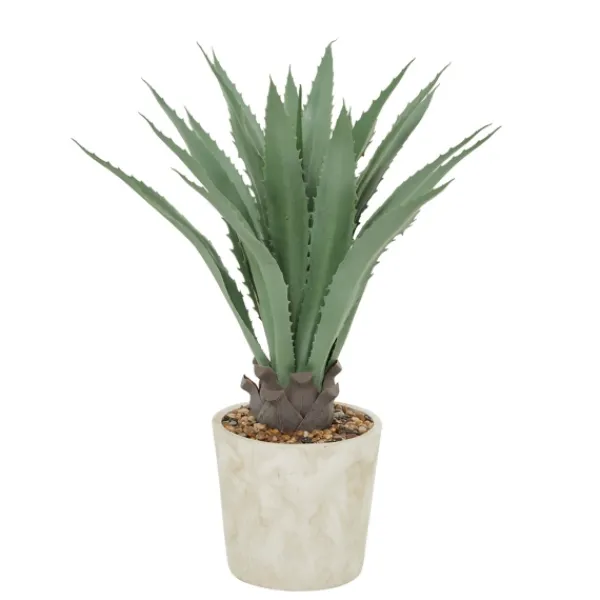 Arrangements & Greenery-Kirkland's Home Aloe Barbadensis In Pebble Planter Green/White
