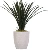Arrangements & Greenery-Kirkland's Home Areca Grass In Mossy White Planter Green/White