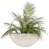 Arrangements & Greenery-Kirkland's Home Areca Palm In Round Sonce Planter Green/White