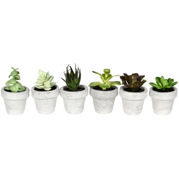 Arrangements & Greenery-Kirkland's Home Assorted Potted Succulent Arrangements, Set Of 6 Green/White