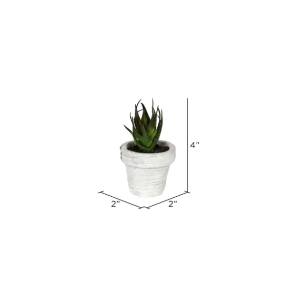 Arrangements & Greenery-Kirkland's Home Assorted Potted Succulent Arrangements, Set Of 6 Green/White