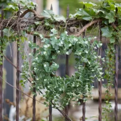 Wreaths-Kirkland's Home Australian Eucalpyptus Wreath Green