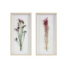 Framed Art-Kirkland's Home Avant Garden Dried Flowers Shadowboxes, Set Of 2 White/Tan/Multi
