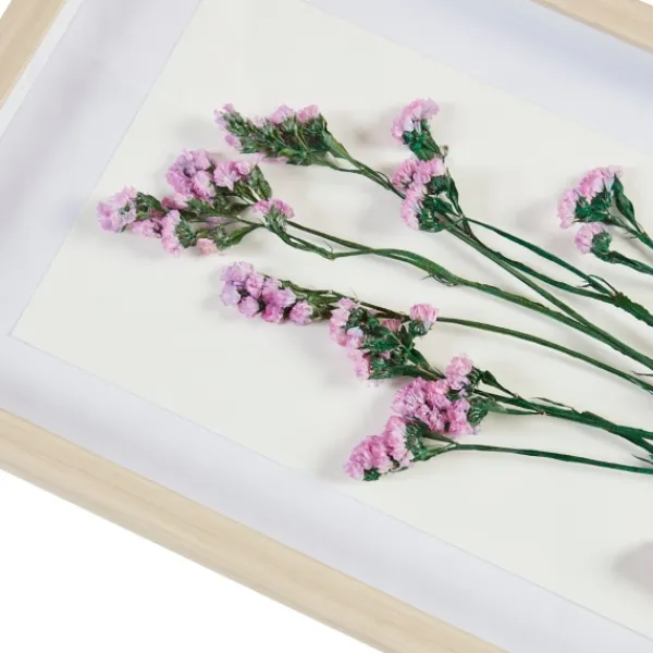 Framed Art-Kirkland's Home Avant Garden Dried Flowers Shadowboxes, Set Of 2 White/Tan/Multi