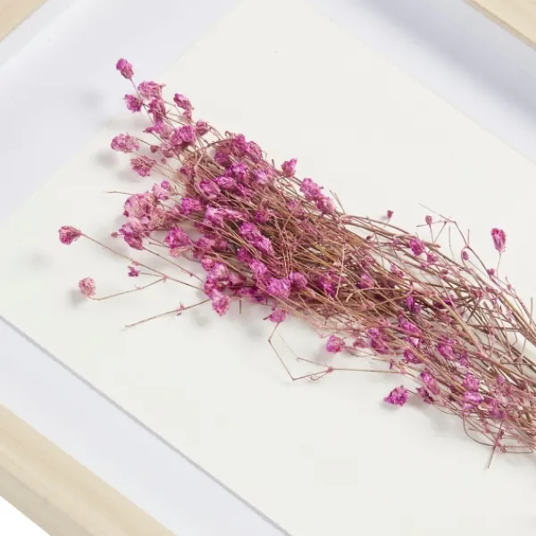 Framed Art-Kirkland's Home Avant Garden Dried Flowers Shadowboxes, Set Of 2 White/Tan/Multi