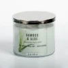 Candles-Kirkland's Home Bamboo Aloe 14 Oz. Triple Wick Jar Candle Green/Silver