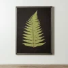 Framed Art-Kirkland's Home Black Fern Iv Framed Art Print Green/Black