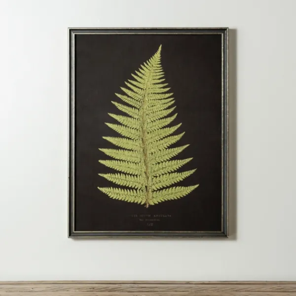 Framed Art-Kirkland's Home Black Fern Iv Framed Art Print Green/Black