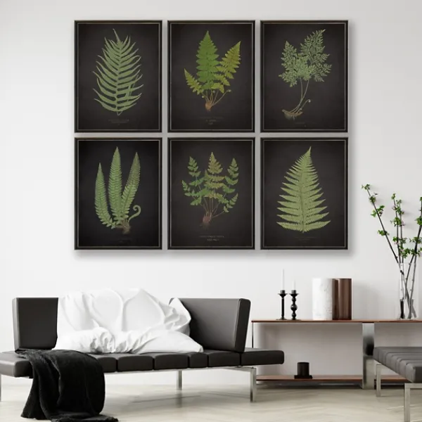 Framed Art-Kirkland's Home Black Fern Iv Framed Art Print Green/Black