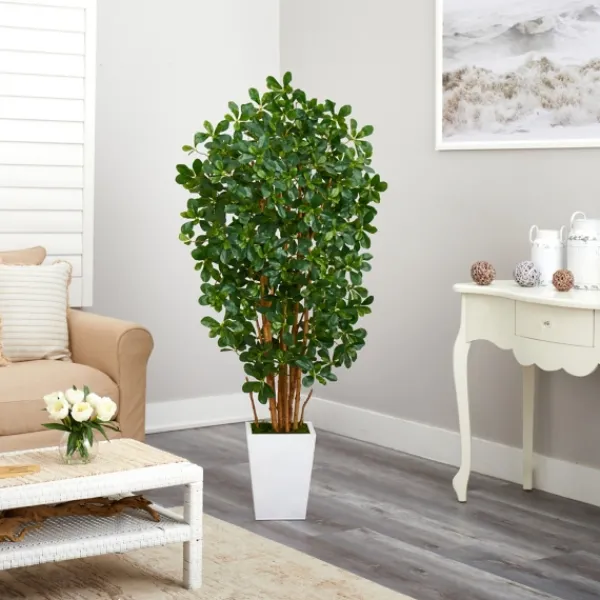 Trees & Topiaries-Kirkland's Home Black Olive Tree In White Planter, 5.5 Ft.