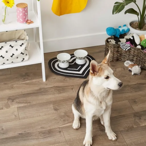 Kitchen & Floor Mats-Kirkland's Home Black Striped Heart Pet Bowl Mat Black/White