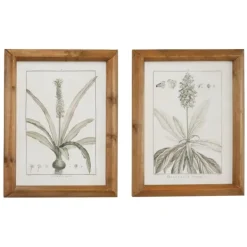 Framed Art-Kirkland's Home Black White Vintage Botanical Framed Art, Set Of 2 Black/White