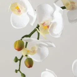 Arrangements & Greenery-Kirkland's Home Blooming White Orchid Potted Floral Arrangement Green/White/Yellow