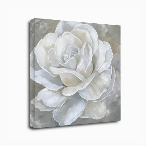 Canvas Art-Kirkland's Home Bombshell Bloom Ii Canvas Art Print, 20X20 In. White/Gray