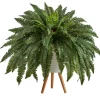 Trees & Topiaries-Kirkland's Home Boston Fern Arrangement In White Planter