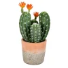 Arrangements & Greenery-Kirkland's Home Cactus In Clay Pot, 14 In. Green