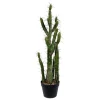 Trees & Topiaries-Kirkland's Home Cereus Cactus In Black Pot, 34 In.