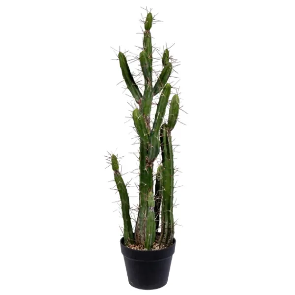 Trees & Topiaries-Kirkland's Home Cereus Cactus In Black Pot, 34 In.