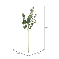 Stems & Bouquets-Kirkland's Home Cinerea Eucalyptus Leaf Stems, Set Of 4 Green