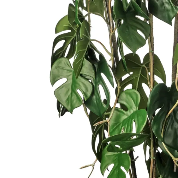 Trees & Topiaries-Kirkland's Home Climbing Split Leaf Philodendron Plant