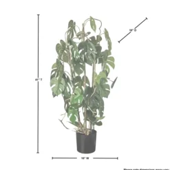 Trees & Topiaries-Kirkland's Home Climbing Split Leaf Philodendron Plant