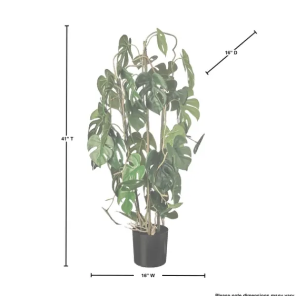 Trees & Topiaries-Kirkland's Home Climbing Split Leaf Philodendron Plant