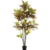 Trees & Topiaries-Kirkland's Home Colorful Croton Tree In Black Planter, 5 Ft.