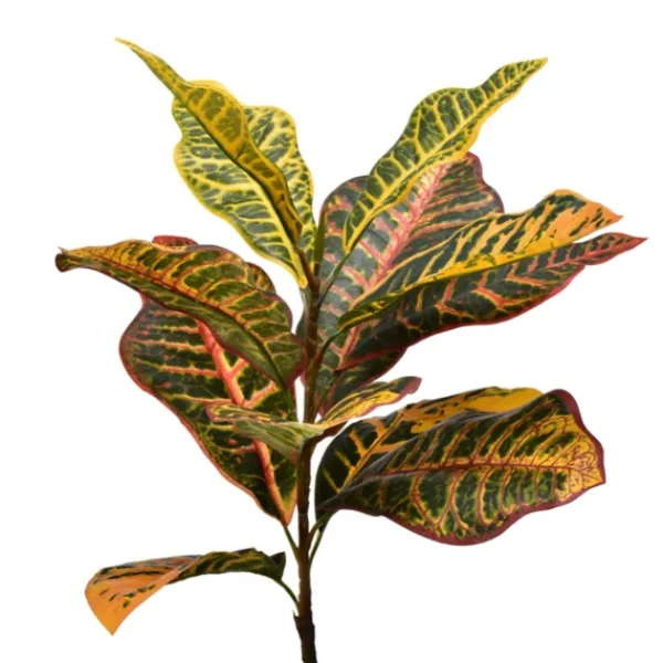Trees & Topiaries-Kirkland's Home Colorful Croton Tree In Black Planter, 5 Ft.