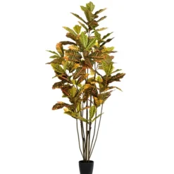 Trees & Topiaries-Kirkland's Home Colorful Croton Tree In Black Planter, 6 Ft.