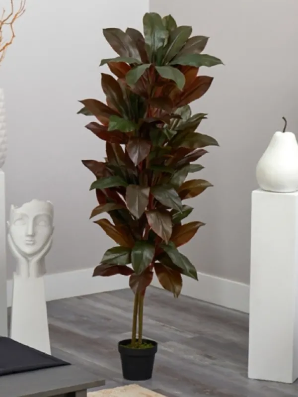 Trees & Topiaries-Kirkland's Home Cordyline Plant In Terracotta Planter Green