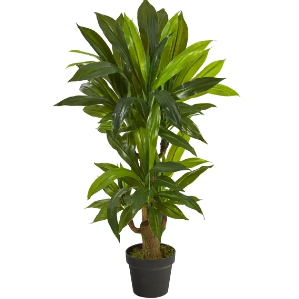 Trees & Topiaries-Kirkland's Home Corn Stalk Dracaena Plant In Black Planter