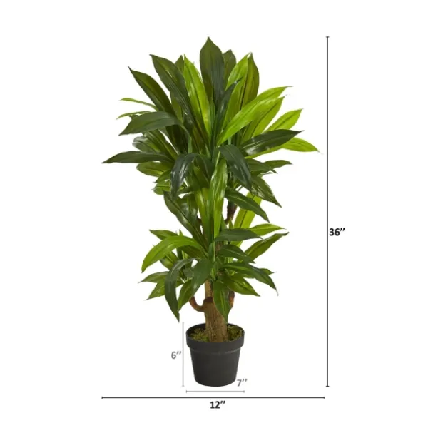 Trees & Topiaries-Kirkland's Home Corn Stalk Dracaena Plant In Black Planter