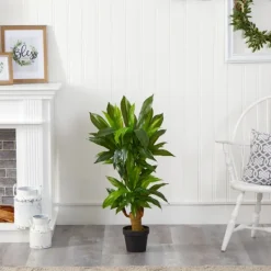 Trees & Topiaries-Kirkland's Home Corn Stalk Dracaena Plant In Black Planter