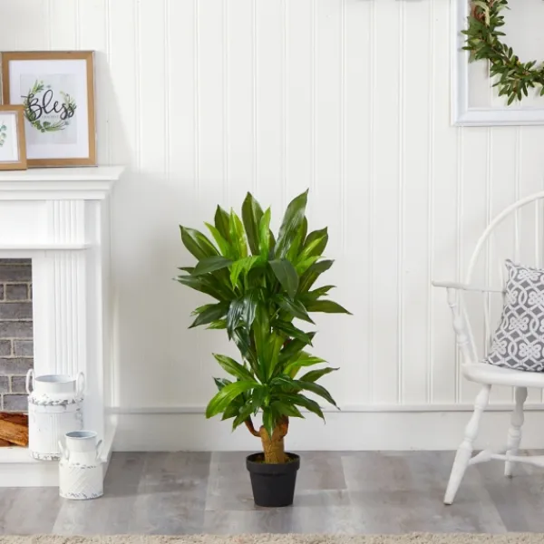 Trees & Topiaries-Kirkland's Home Corn Stalk Dracaena Plant In Black Planter