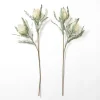 Stems & Bouquets-Kirkland's Home Cream Foam Protea Stem Ivory/Green