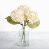 Arrangements & Greenery-Kirkland's Home Cream Hydrangea Arrangement In Glass Vase Ivory