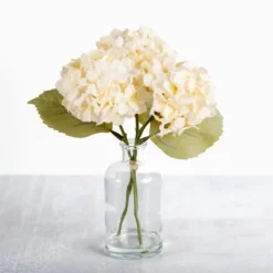 Arrangements & Greenery-Kirkland's Home Cream Hydrangea Arrangement In Glass Vase Ivory