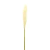 Stems & Bouquets-Kirkland's Home Cream Pampas Stems, Set Of 4 Ivory/Green