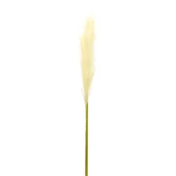 Stems & Bouquets-Kirkland's Home Cream Pampas Stems, Set Of 4 Ivory/Green