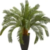 Trees & Topiaries-Kirkland's Home Cycas Floor Plant In Tall Black Planter, 30 In.