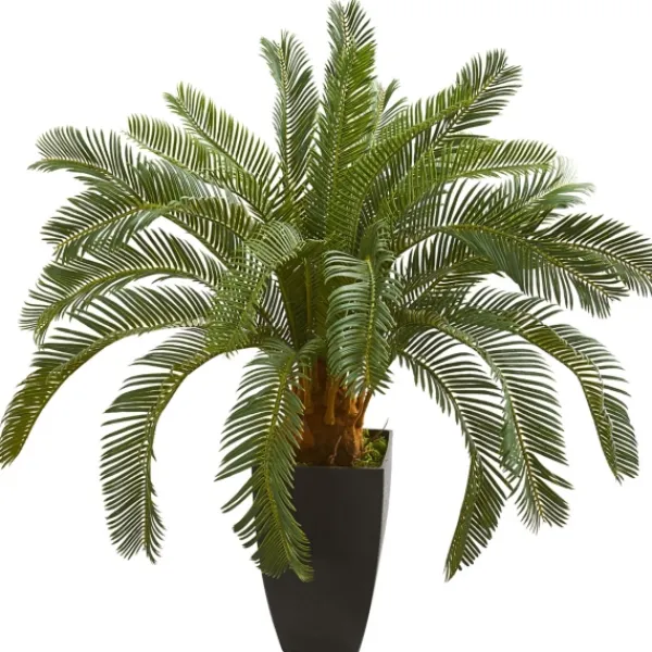 Trees & Topiaries-Kirkland's Home Cycas Floor Plant In Tall Black Planter, 30 In.