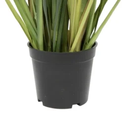 Trees & Topiaries-Kirkland's Home Dandelion Grass Potted Plant