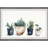 Framed Art-Kirkland's Home Deckled Succulent Row Framed Art Print White/Green/Blue/Brown
