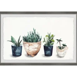 Framed Art-Kirkland's Home Deckled Succulent Row Framed Art Print White/Green/Blue/Brown